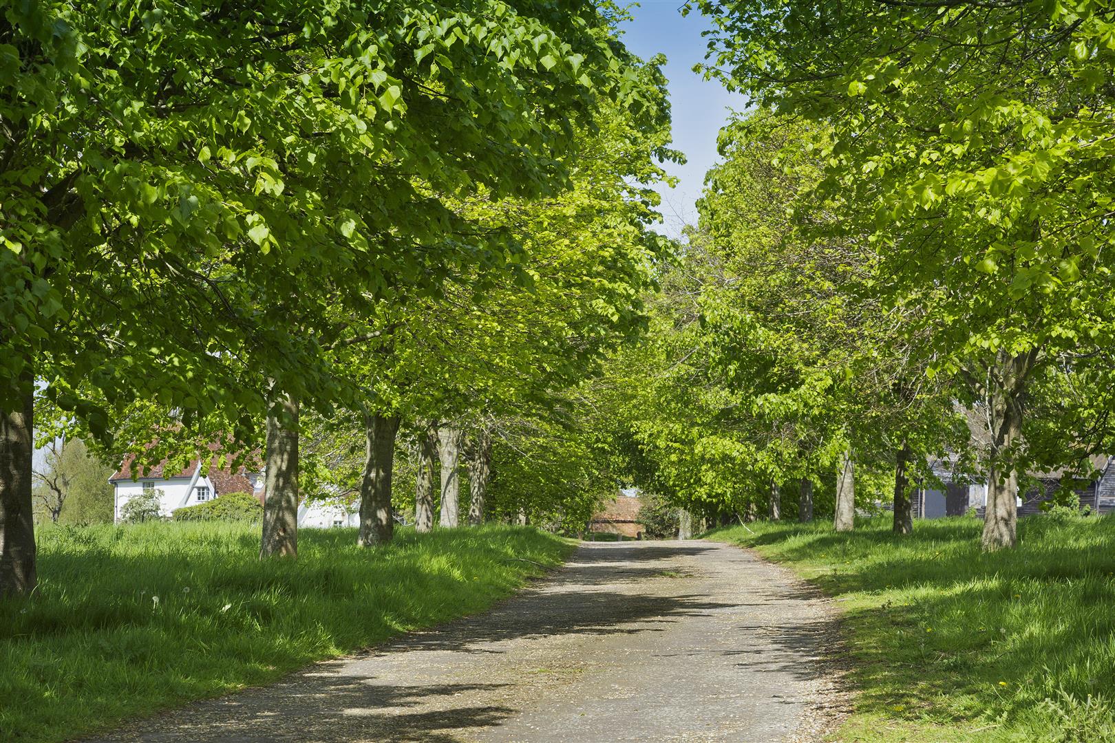 Blyford property photo